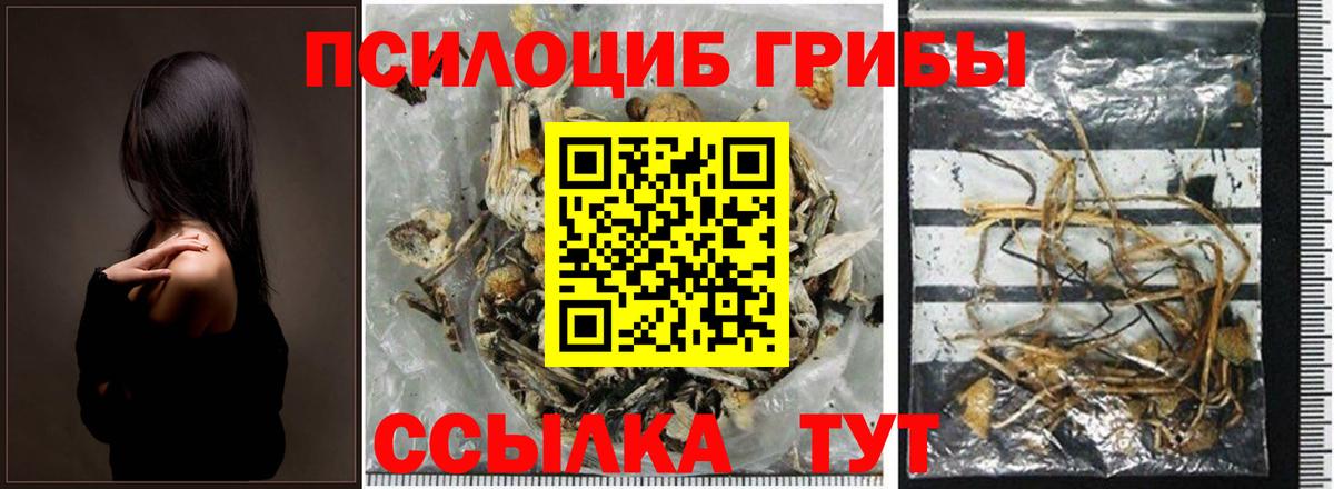 Галлюциногенные грибы Magic Shrooms Россия