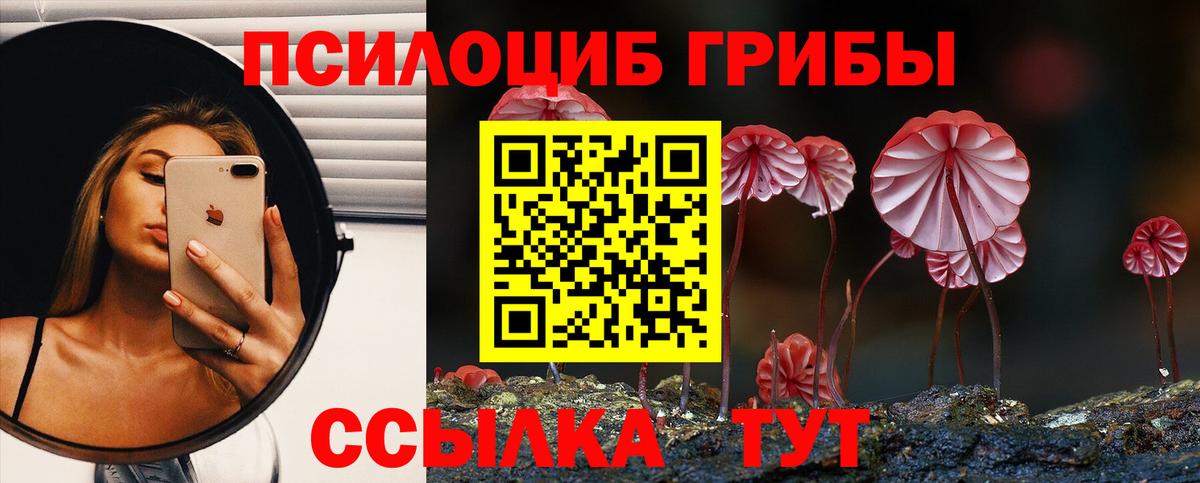 Россия  Галлюциногенные грибы Cubensis  Вход с VPN 